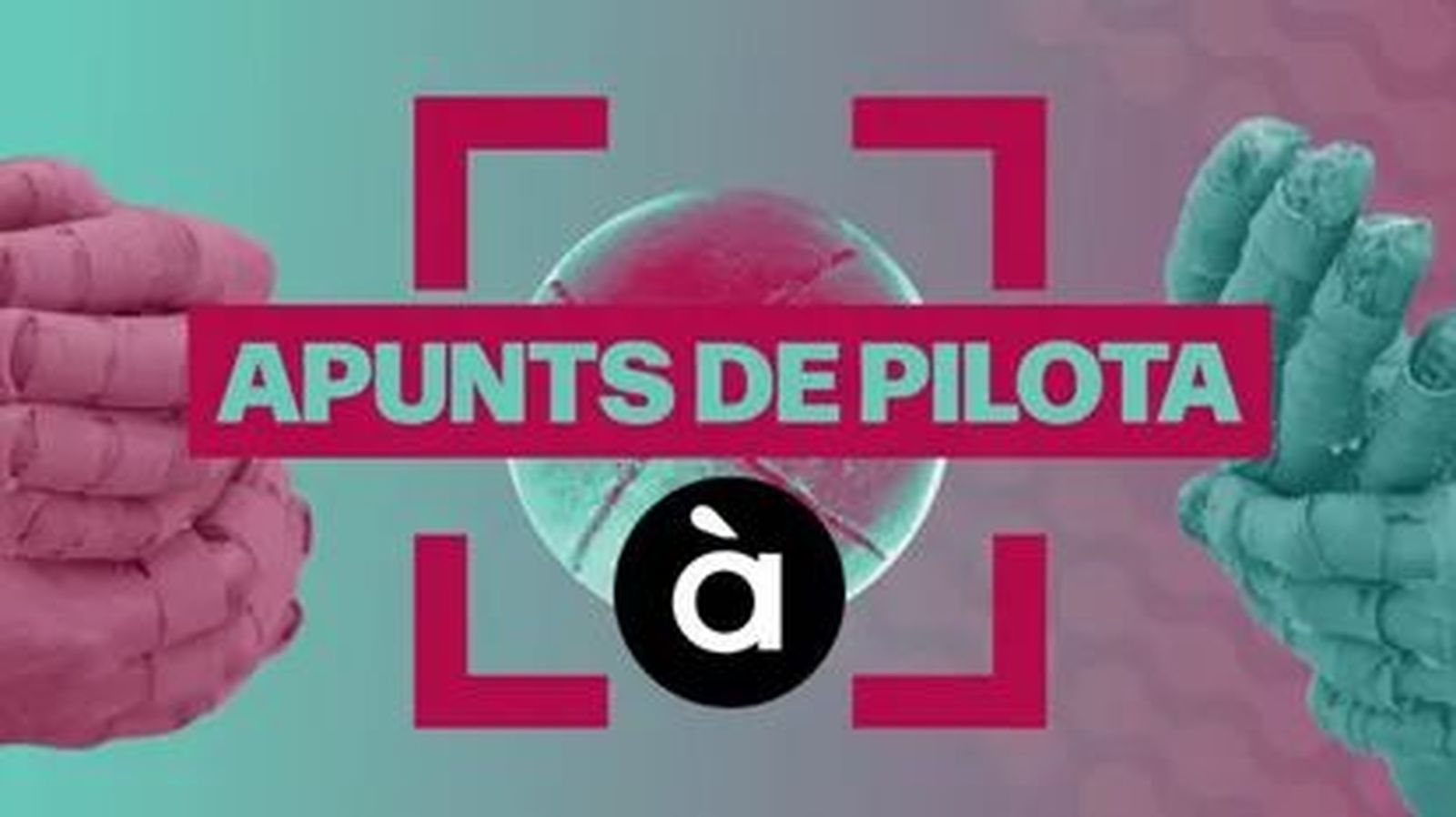 APUNTS DE PILOTA 41