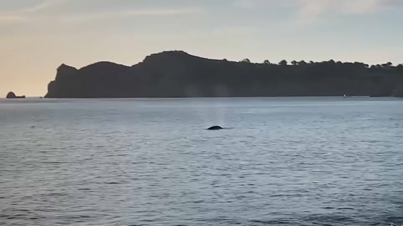 Imatges de Wally a Xàbia
