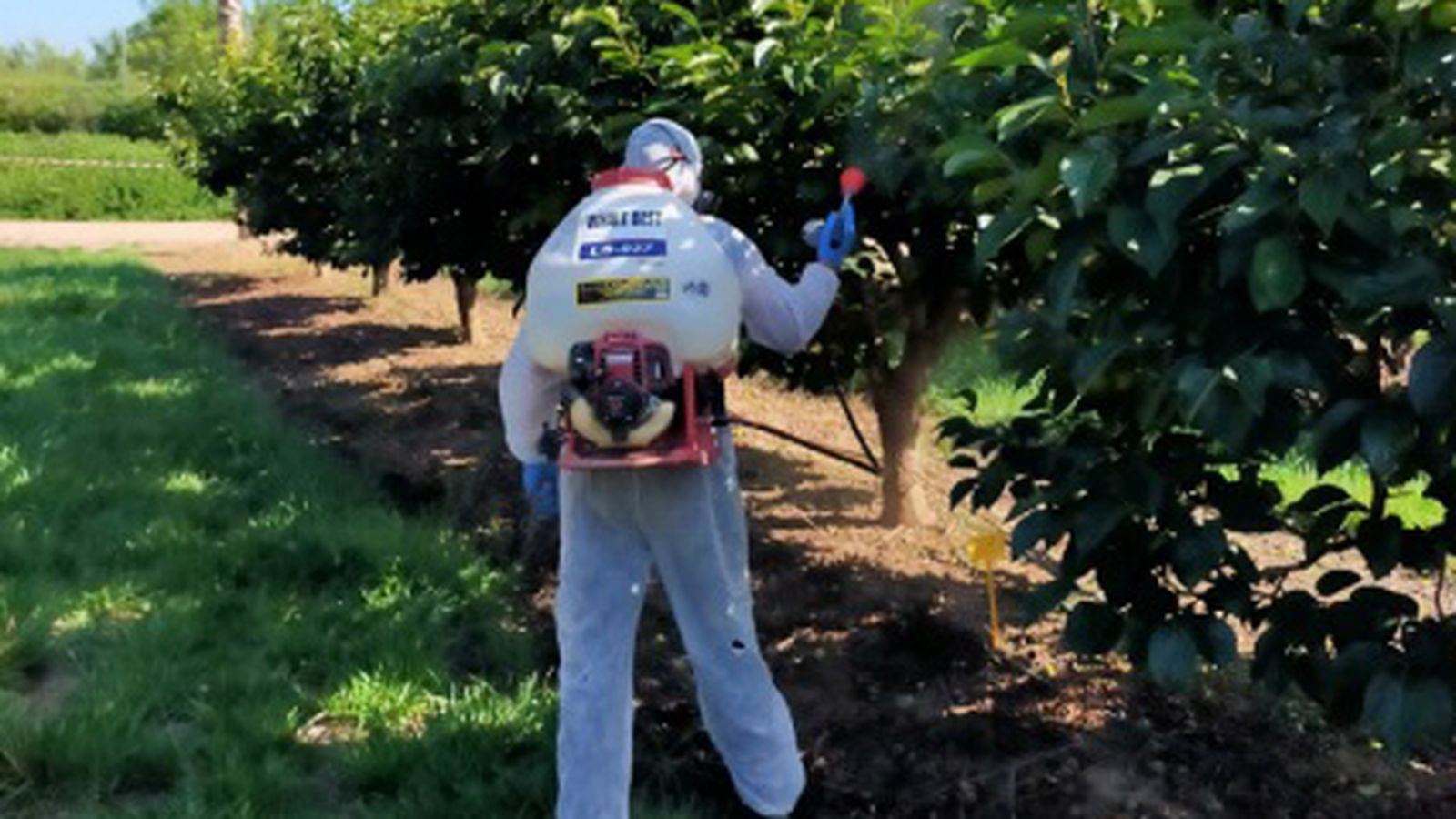 Un agricultor treballa amb olis essencials en el projecte ESSÈNCIA-N