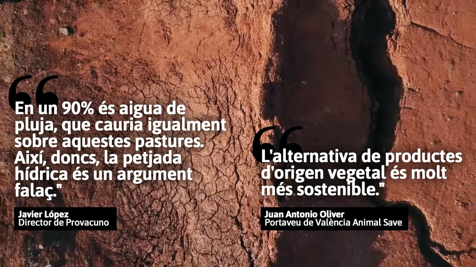 La petjada hídrica és un dels motius per a reduir el consum de carn