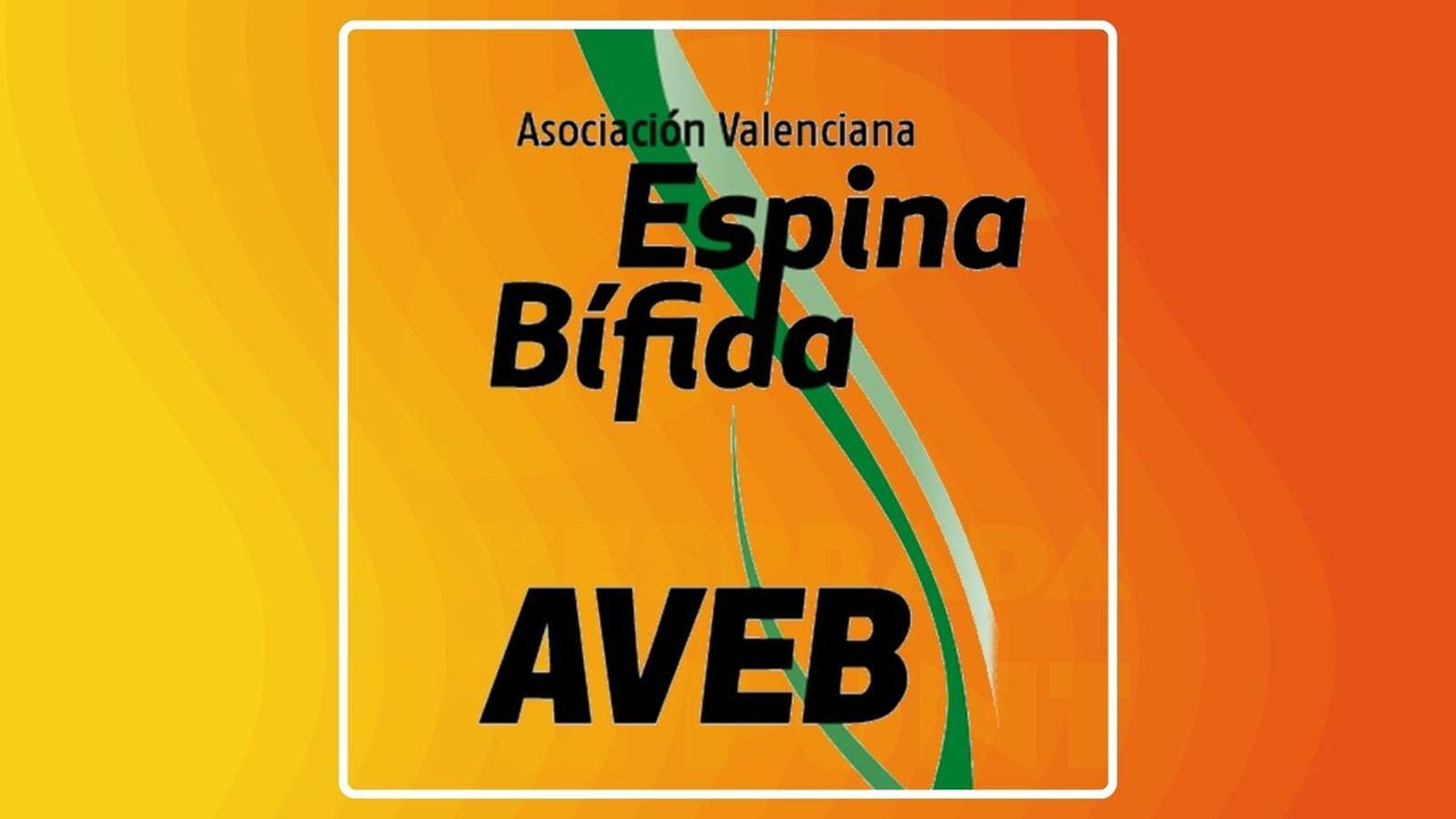 21.11.2025 | Dia Mundial de l’Espina Bífida