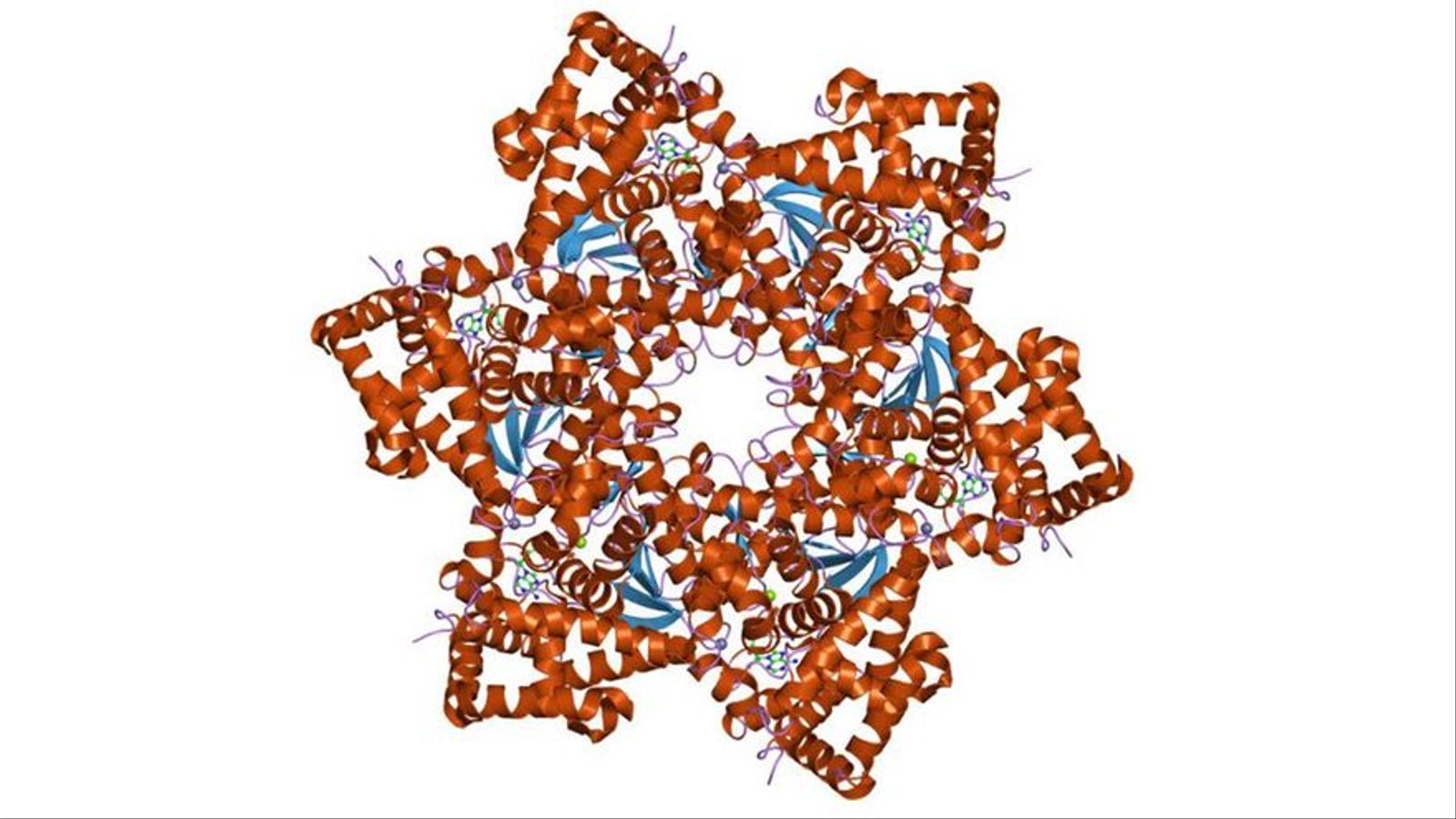 Recreació del virus del papil·loma