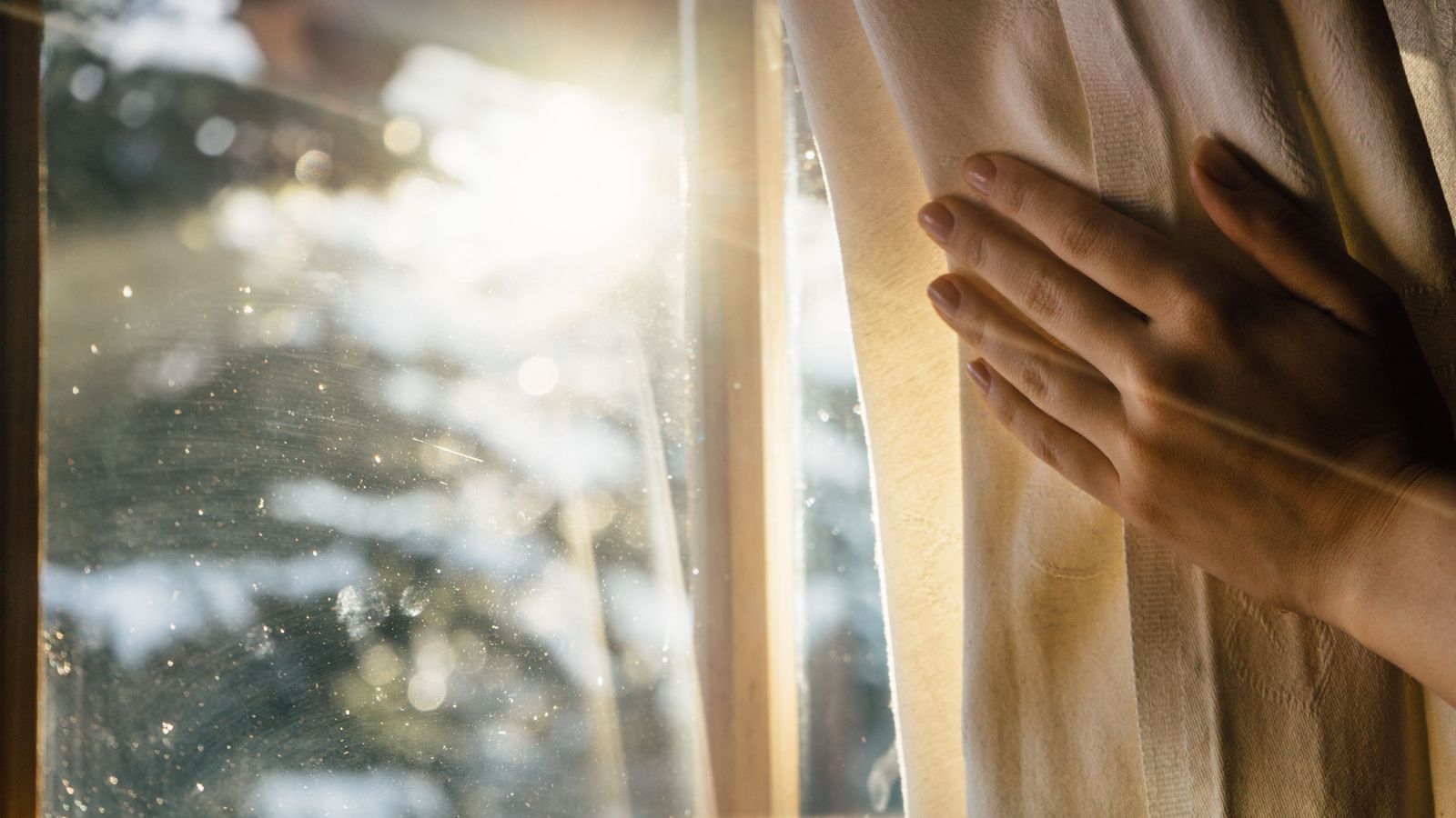 Una ventana a l'hivern