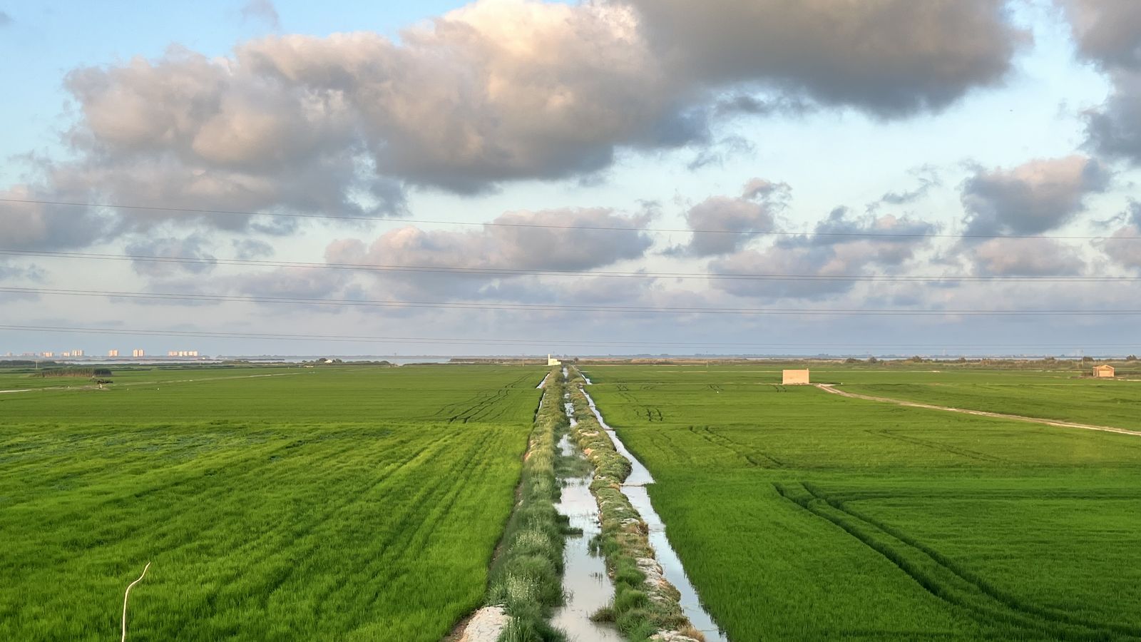 SILLA, L'HORTA SUD