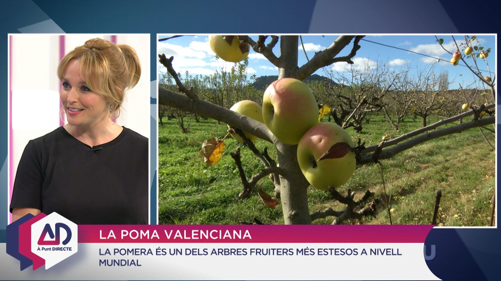 Pomes valencianes