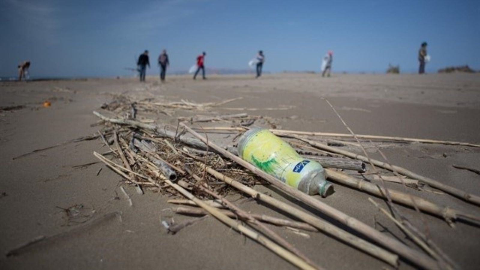 L’objectiu és buscar una solució als efectes negatius de les deixalles sobre la biodiversitat marina | Eruopa Press