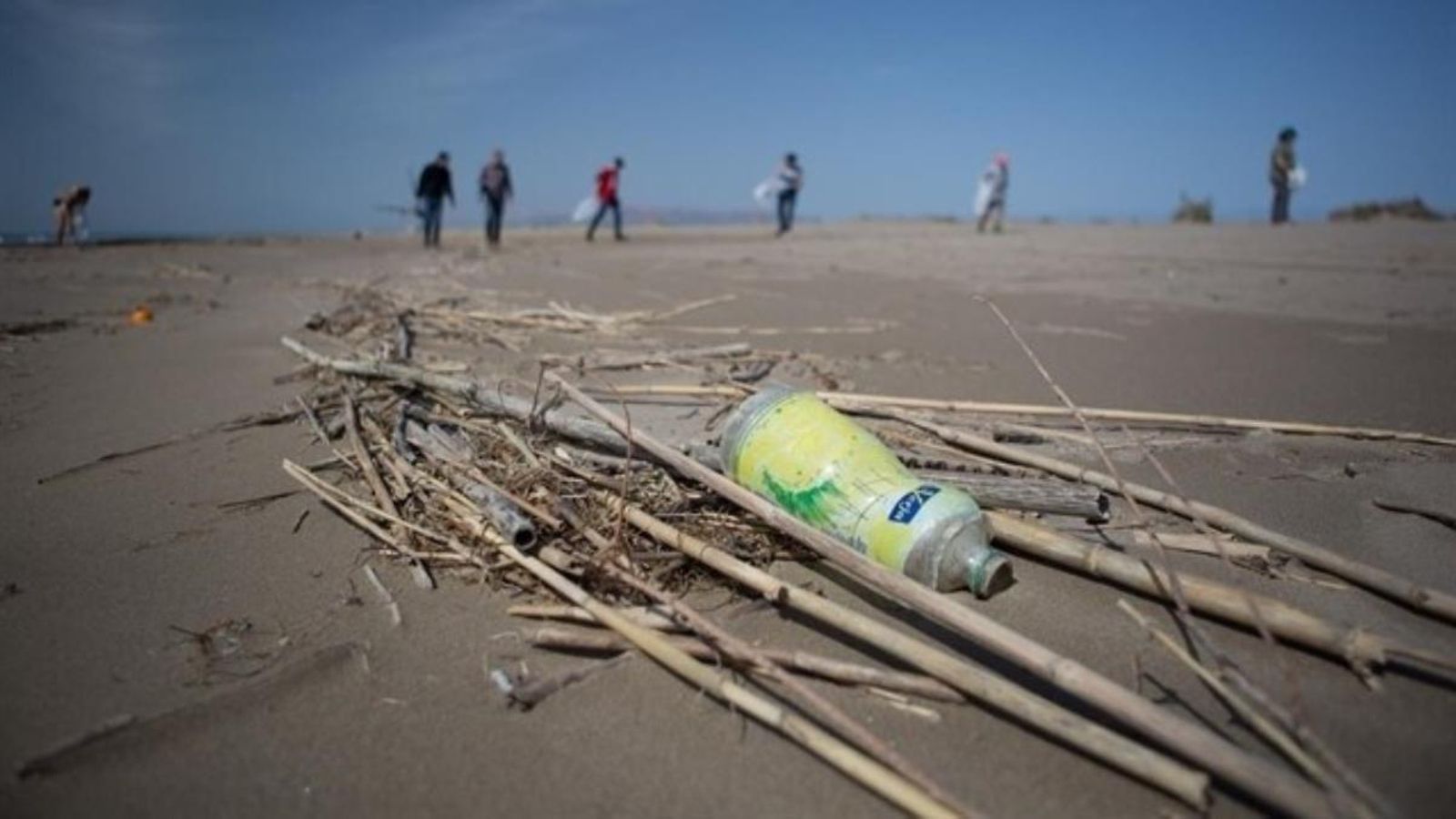 L’objectiu és buscar una solució als efectes negatius de les deixalles sobre la biodiversitat marina | Eruopa Press