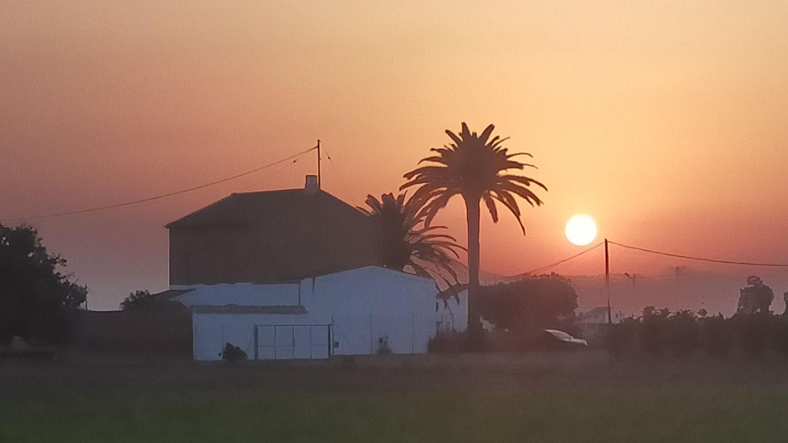 almassera,