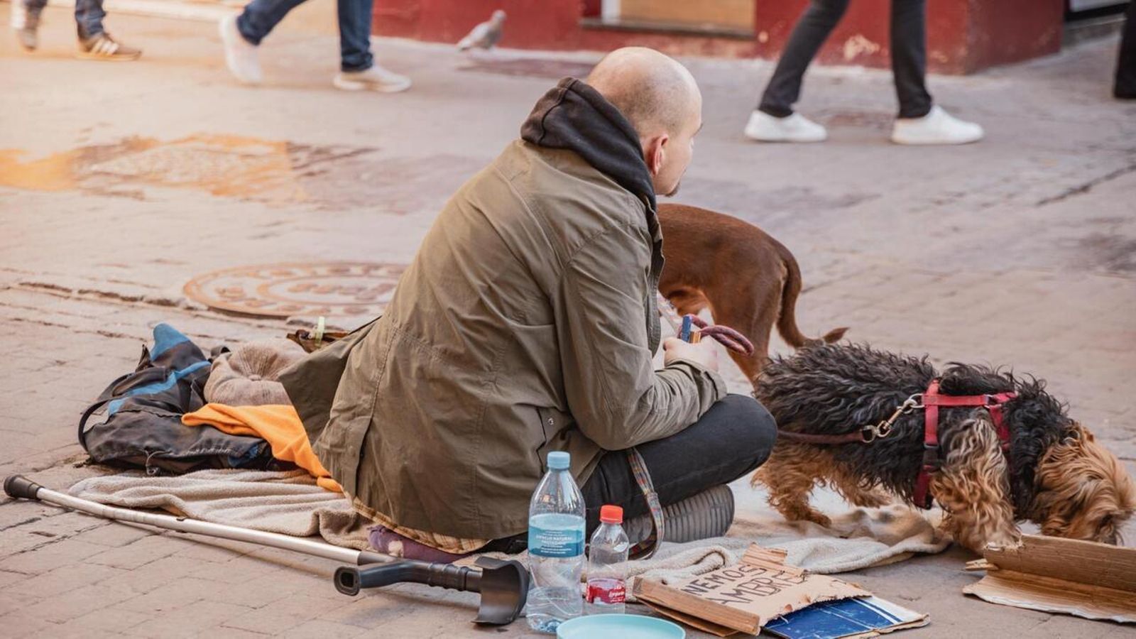Un captaire assegut a terra amb el gos a València