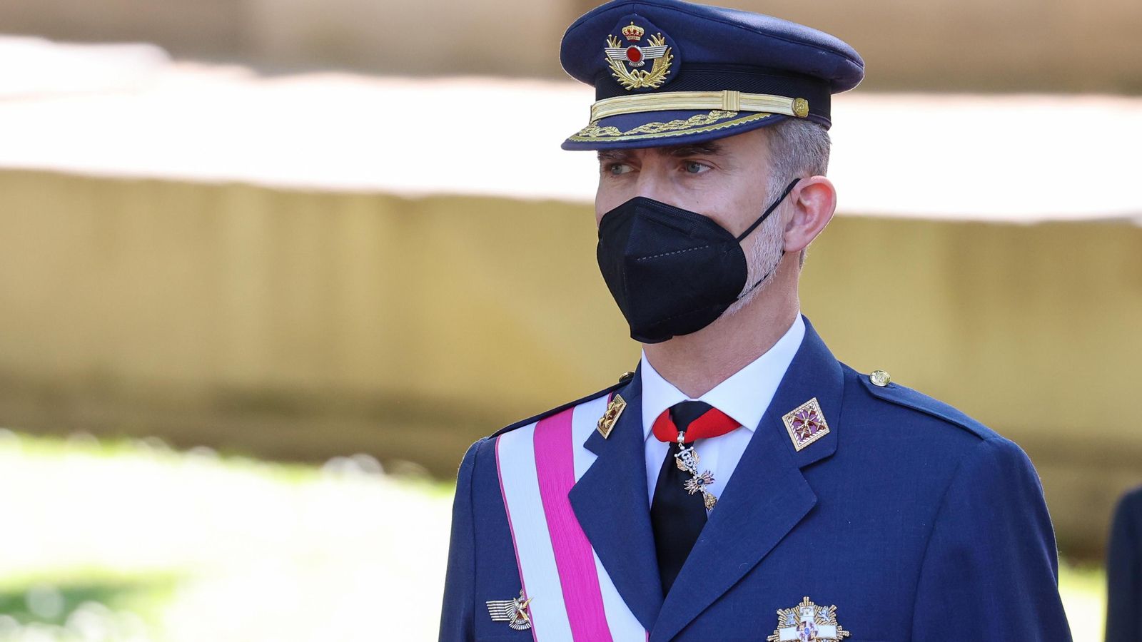 El rei Felip VI en la celebració del Dia de les Forces Armades