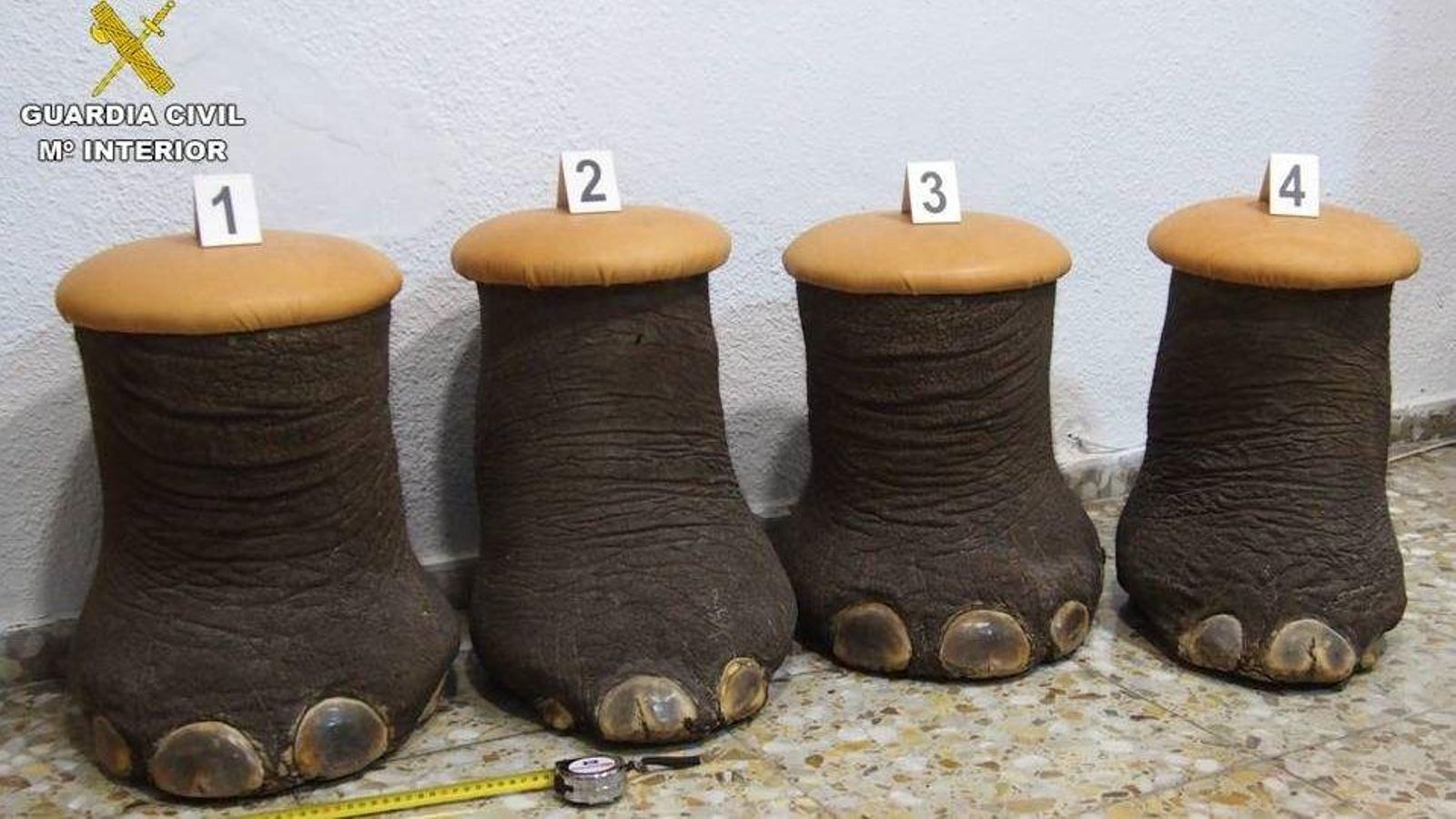 Potes d'elefant intervingudes per la Guàrdia Civil a Alacant