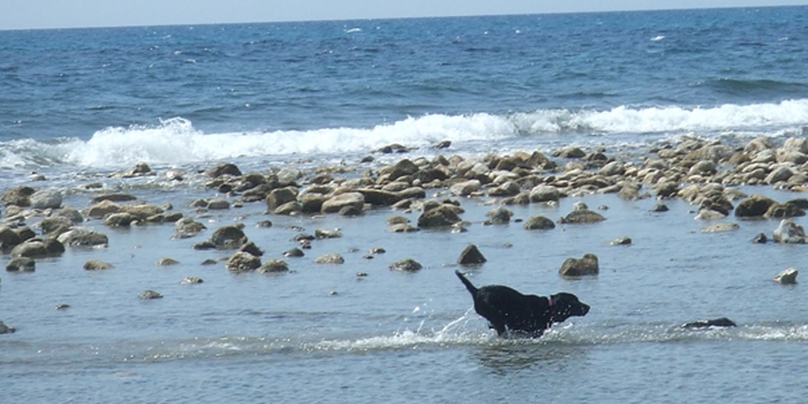 Cala de Punta del Riu Sec, el Campello