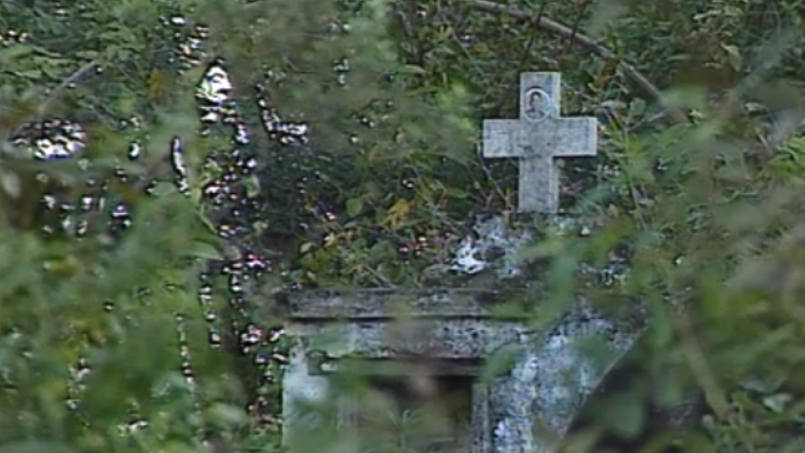 La colònia Nueva Valencia no va sobreviure com a poble