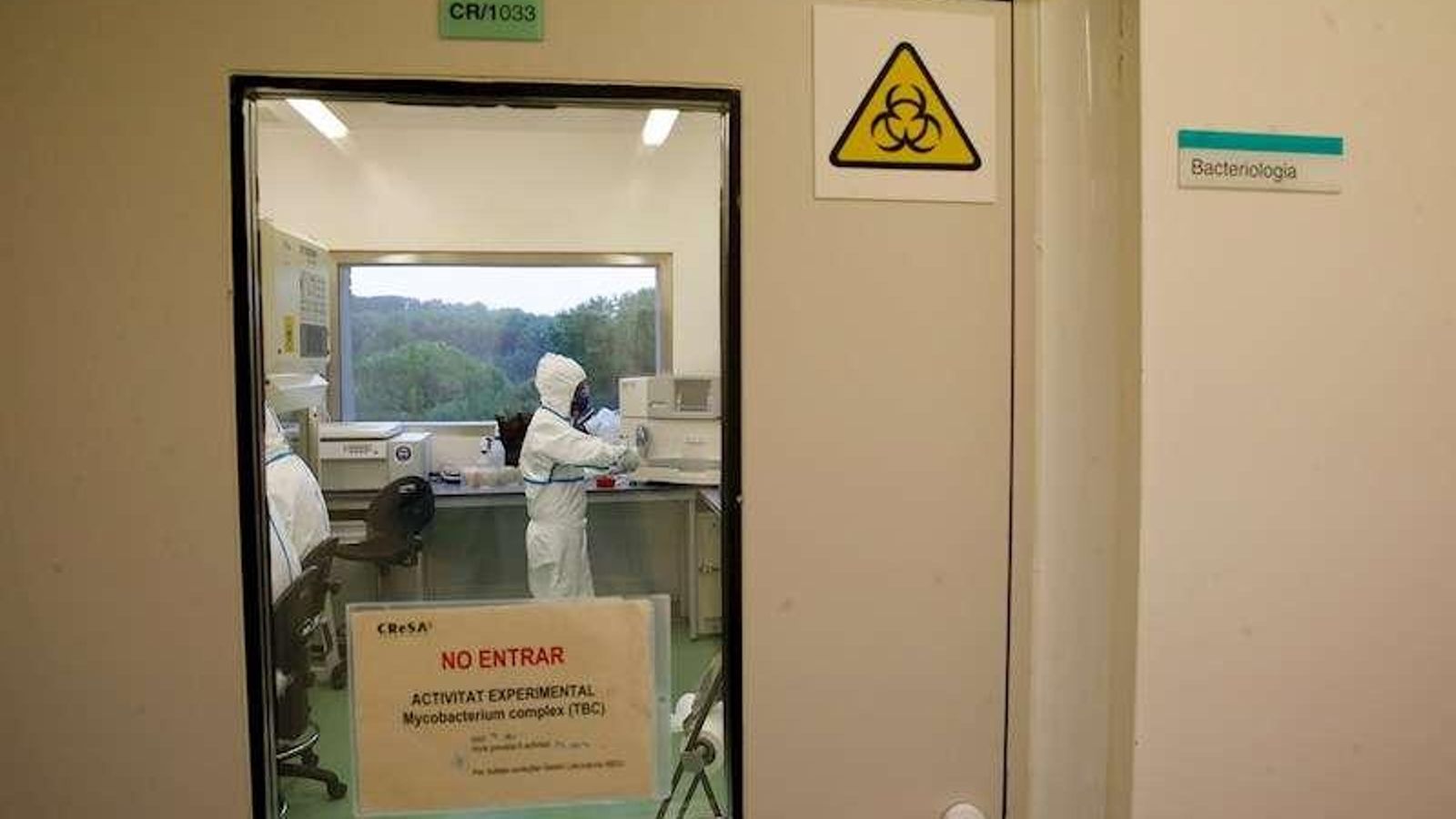 Tècnics de laboratori realitzen la seua feina en una sala de biocontenció