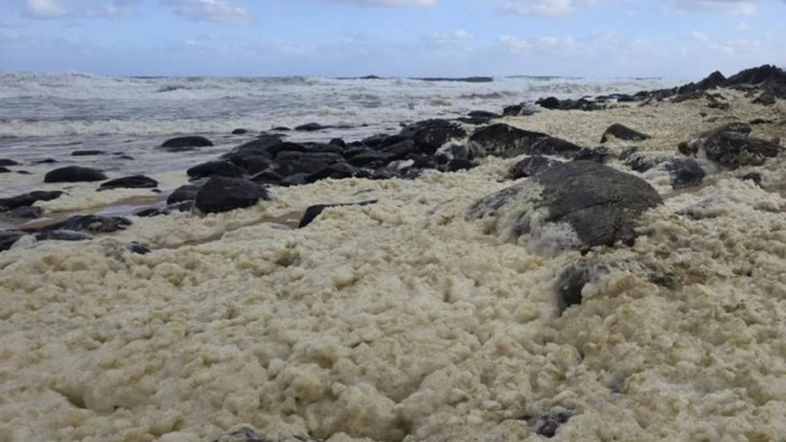 La misteriosa i densa espuma que ha aparegut en la costa sud d'Austràlia i obligat el tancament de dos platges