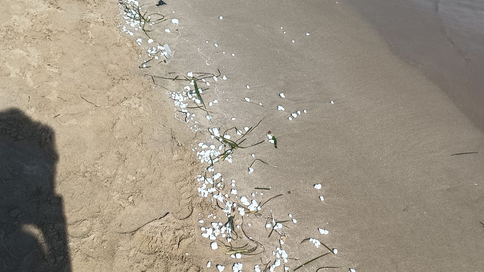 La substància tòxica, d'origen desconegut, ha cobert la platja