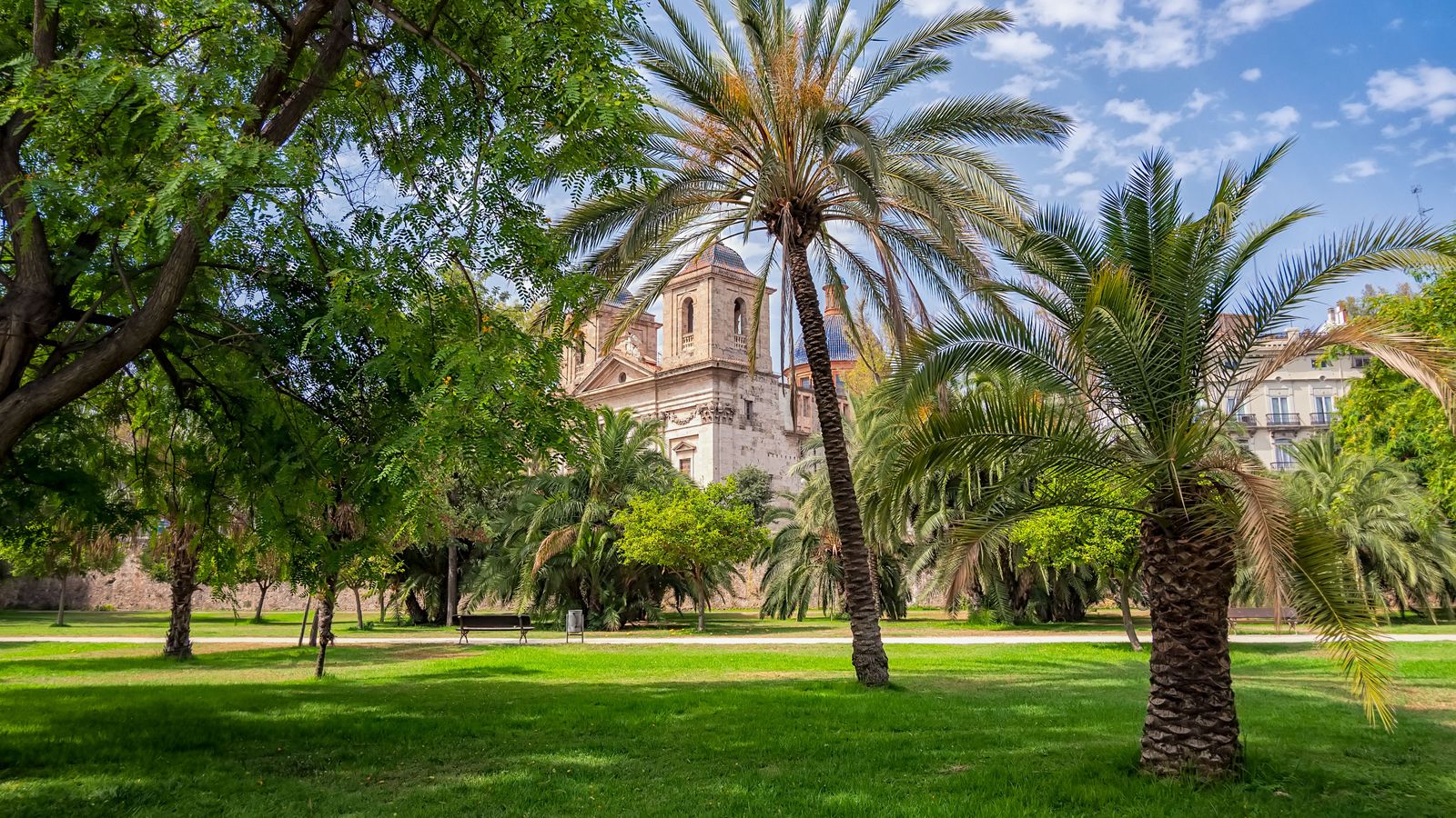 Vista del jardí