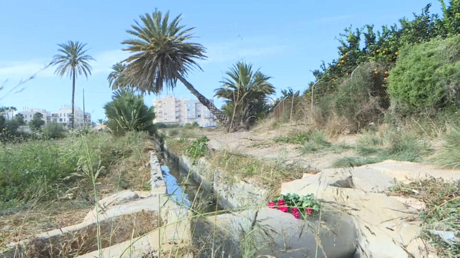 Paratge on es va trobar el cos de la dona