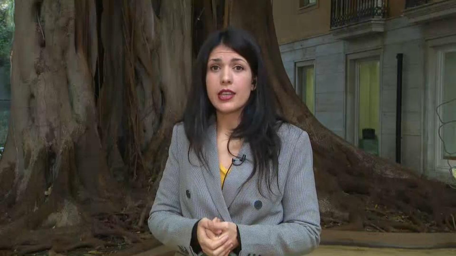 La síndica del grup parlamentari d'Unides Podem, Naiara Davó