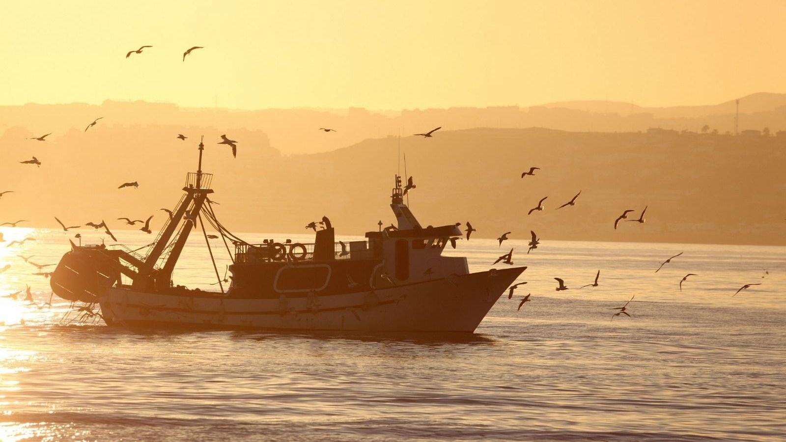 Les confraries valencianes passen una crisi amb la retallada de dies d'eixida a la mar