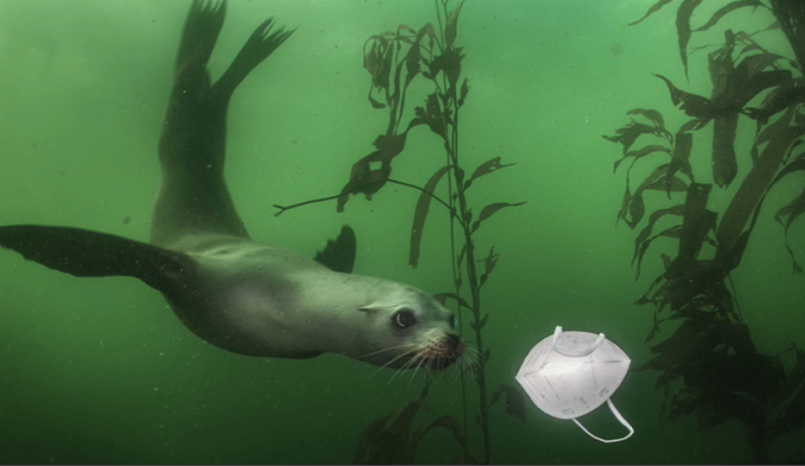 Instantànies que immortalitzen les conseqüències de l'emergència climàtica i els desastres naturals