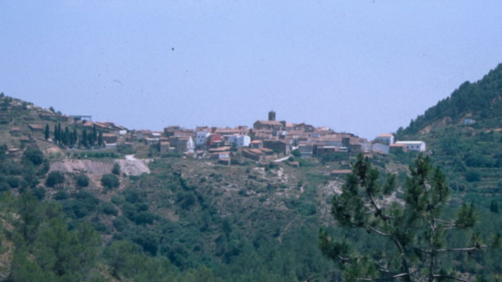 Entrevista a l'alcalde de Vilamalur, Juan Bautista Gimeno, en Les Notícies del Matí.