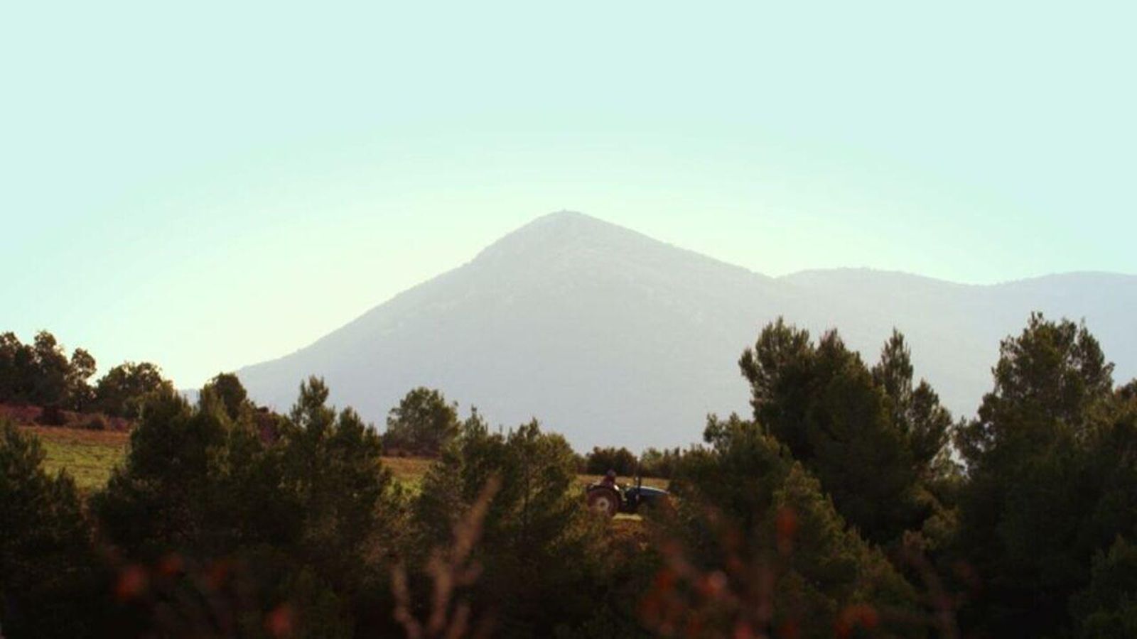 A poc a poc i bona lletra!