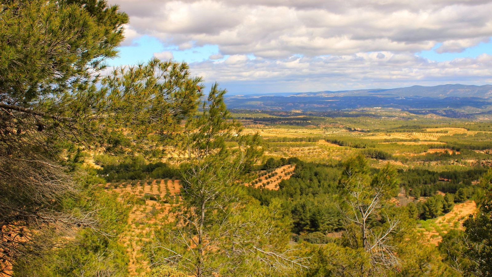 Imatge d'arxiu del paisatge d'Utiel