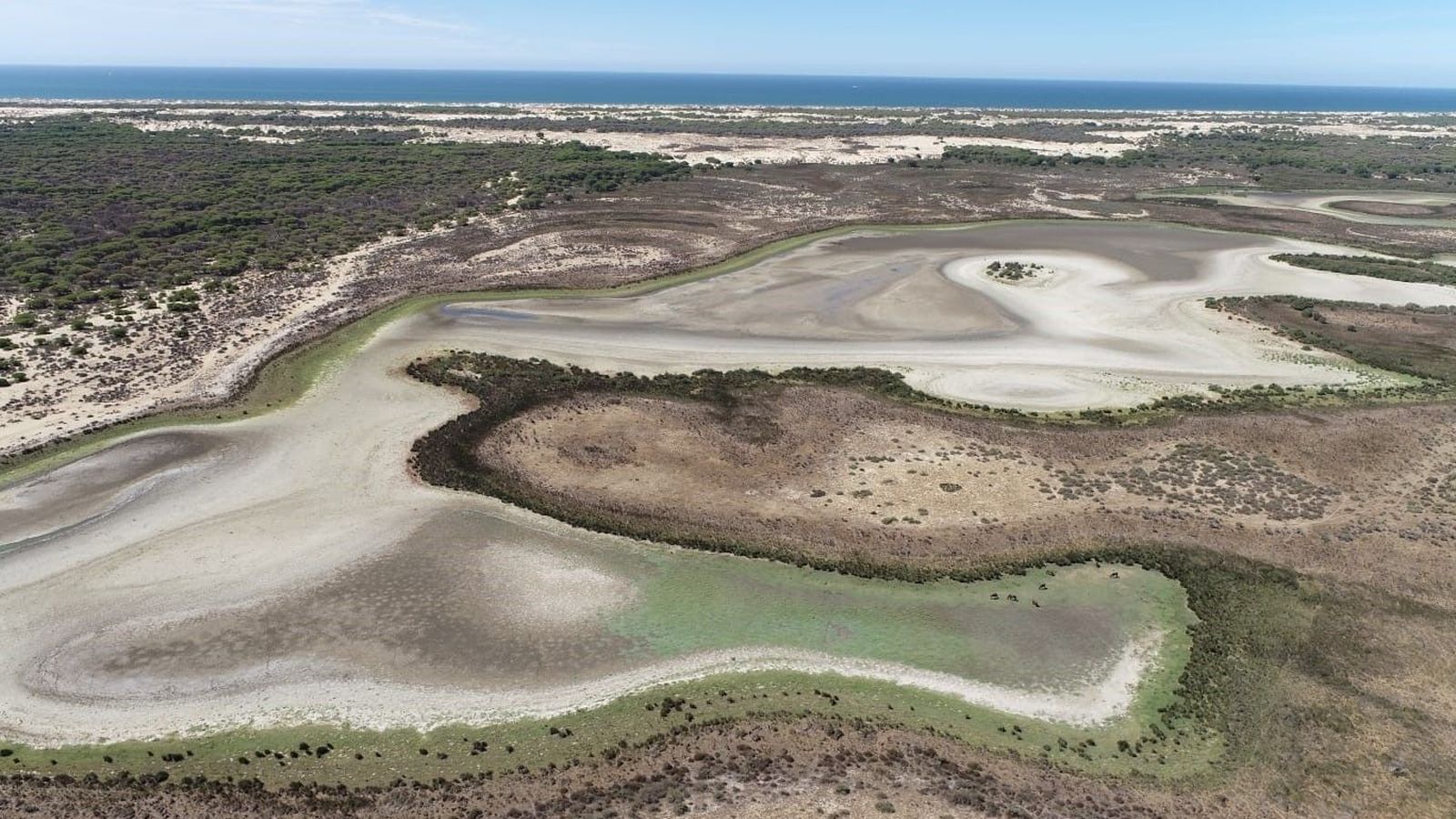 Vista aèria de la llacuna de Santa Olalla del parc nacional de Doñana