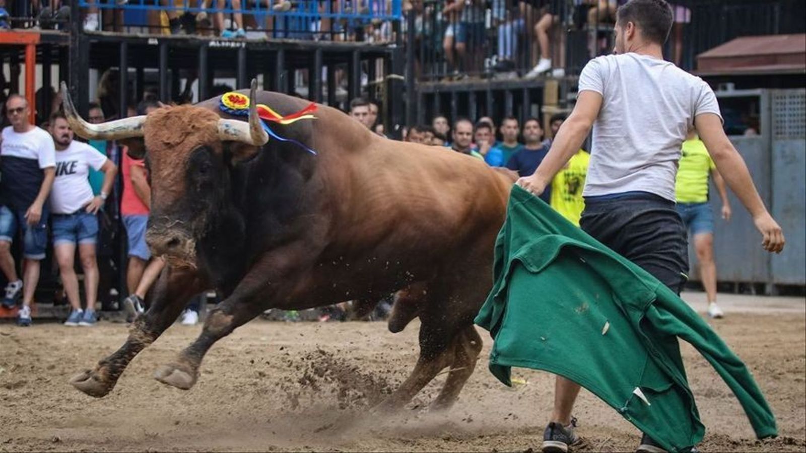 Bous al carrer a les festes de Nules el passat mes d'agost