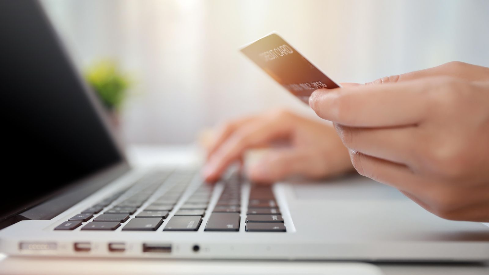 Creixen les compres per internet