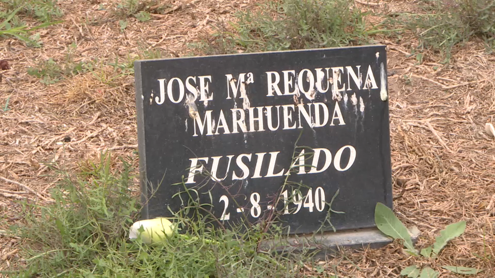 Imatge del cementeri d'Alacant