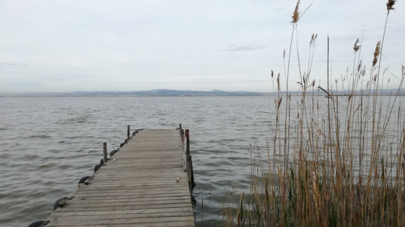 Una imatge de l'Albufera | APIA