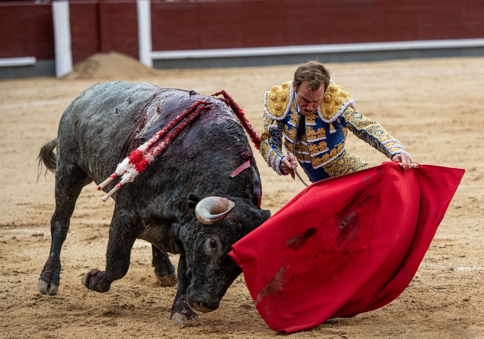 Roman torejant un victorino
