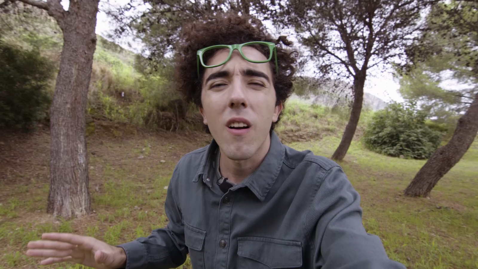 La Colla Animal | Animals amb bona vista