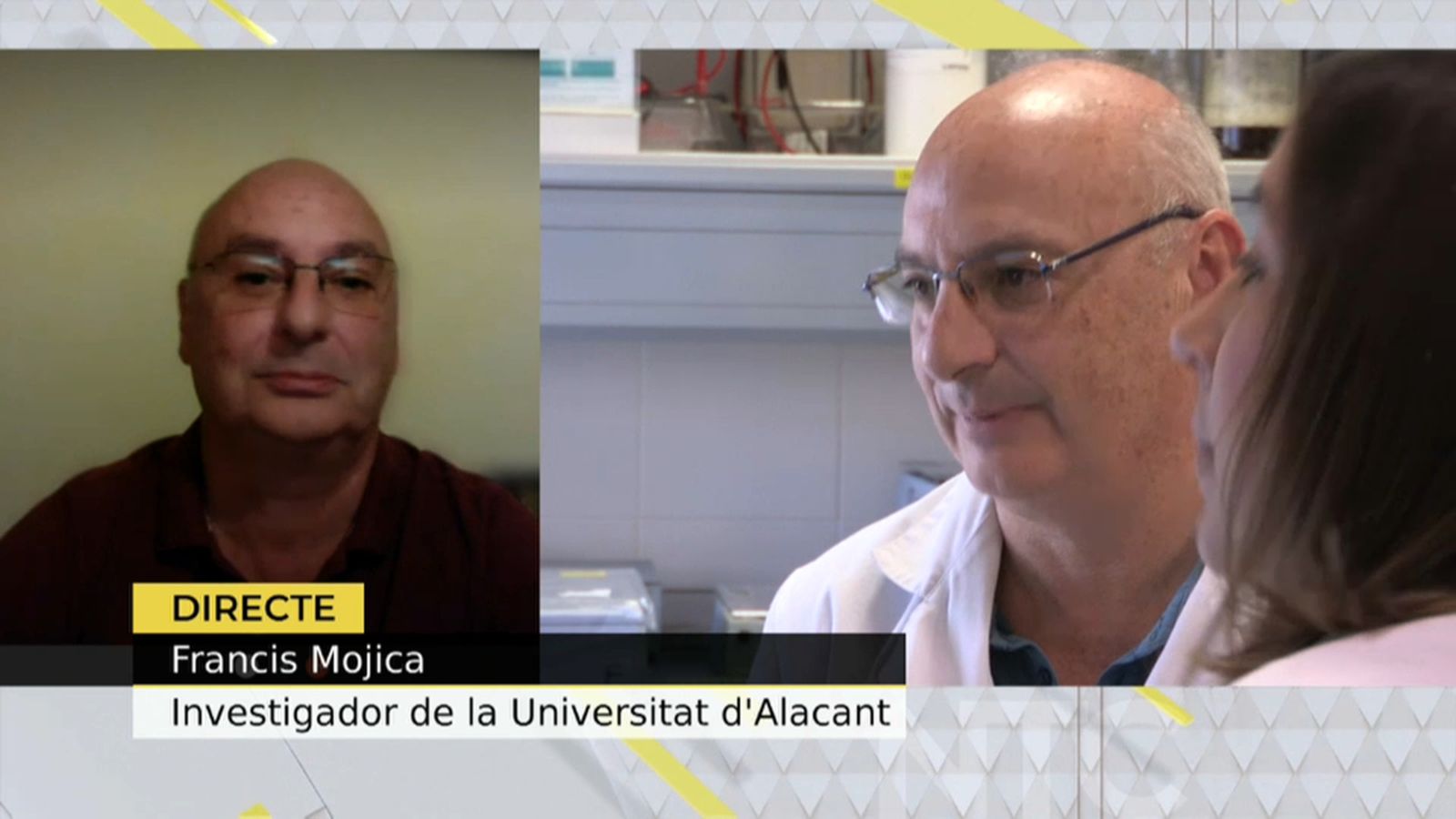 Francisco Mojica, durant la seua intervenció en À Punt Notícies, aquest dimecres