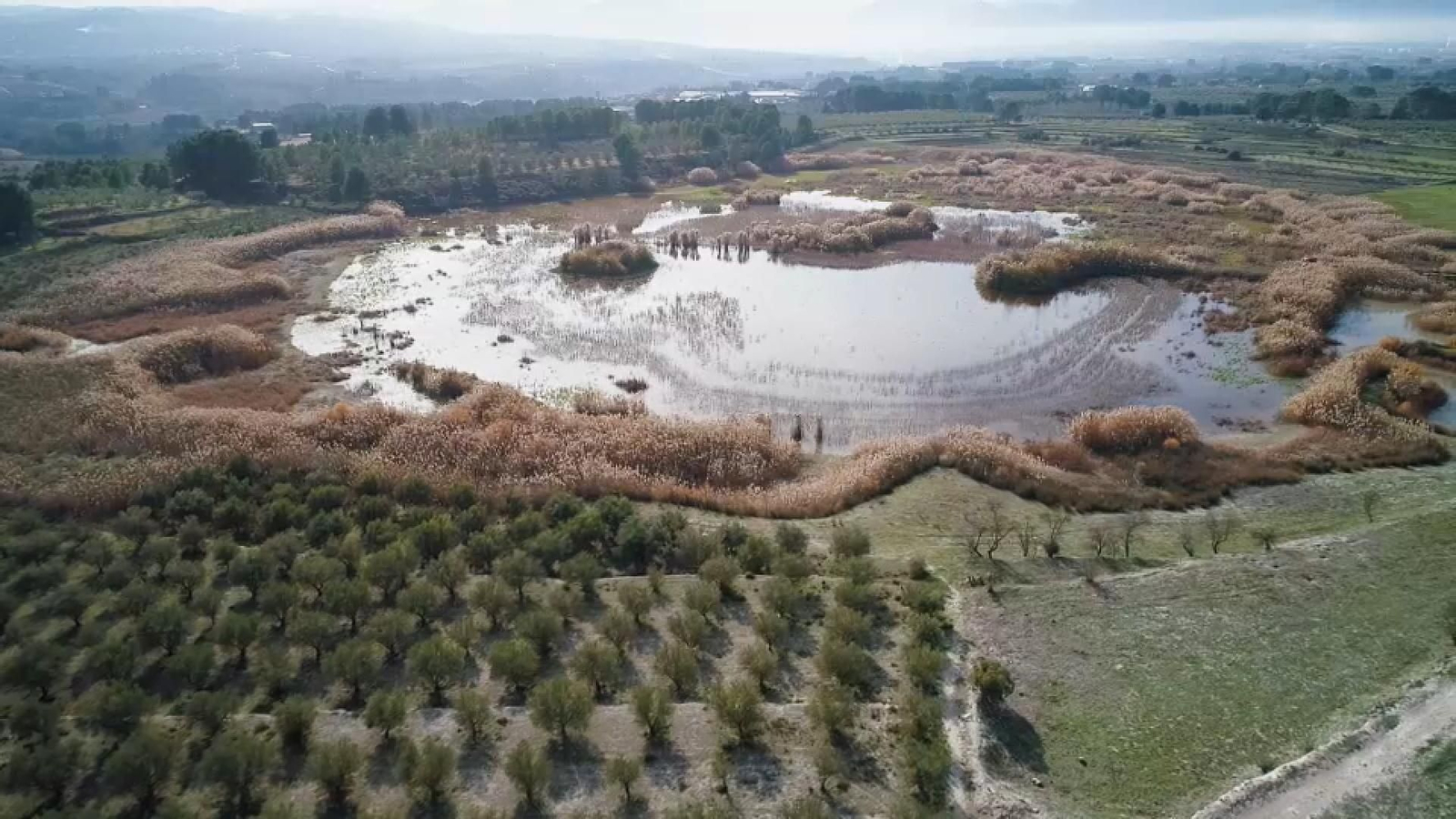 Terra viva | Vista panoràmica de l'albufera de Gaianes, el Comtat