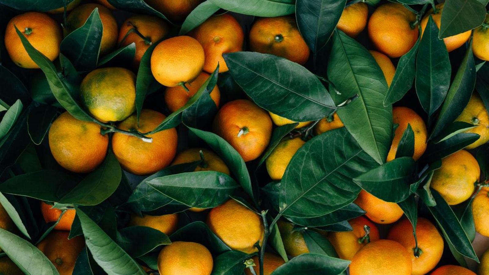 AVA-Asaja i La Unió demanen a la distribució alimentària que aposte pels productes de proximitat pel bé del planeta