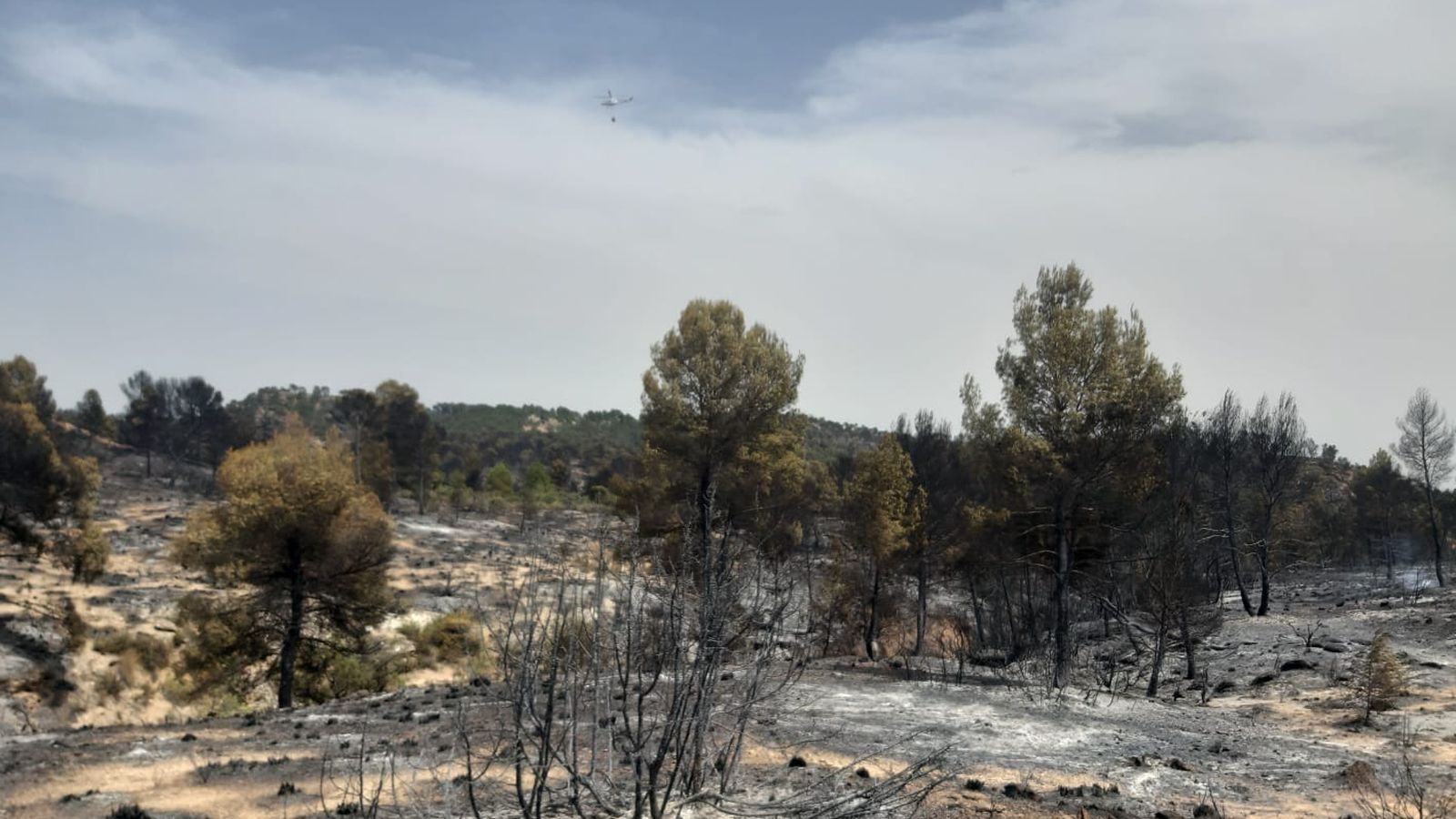 Incendi a Venta del Moro