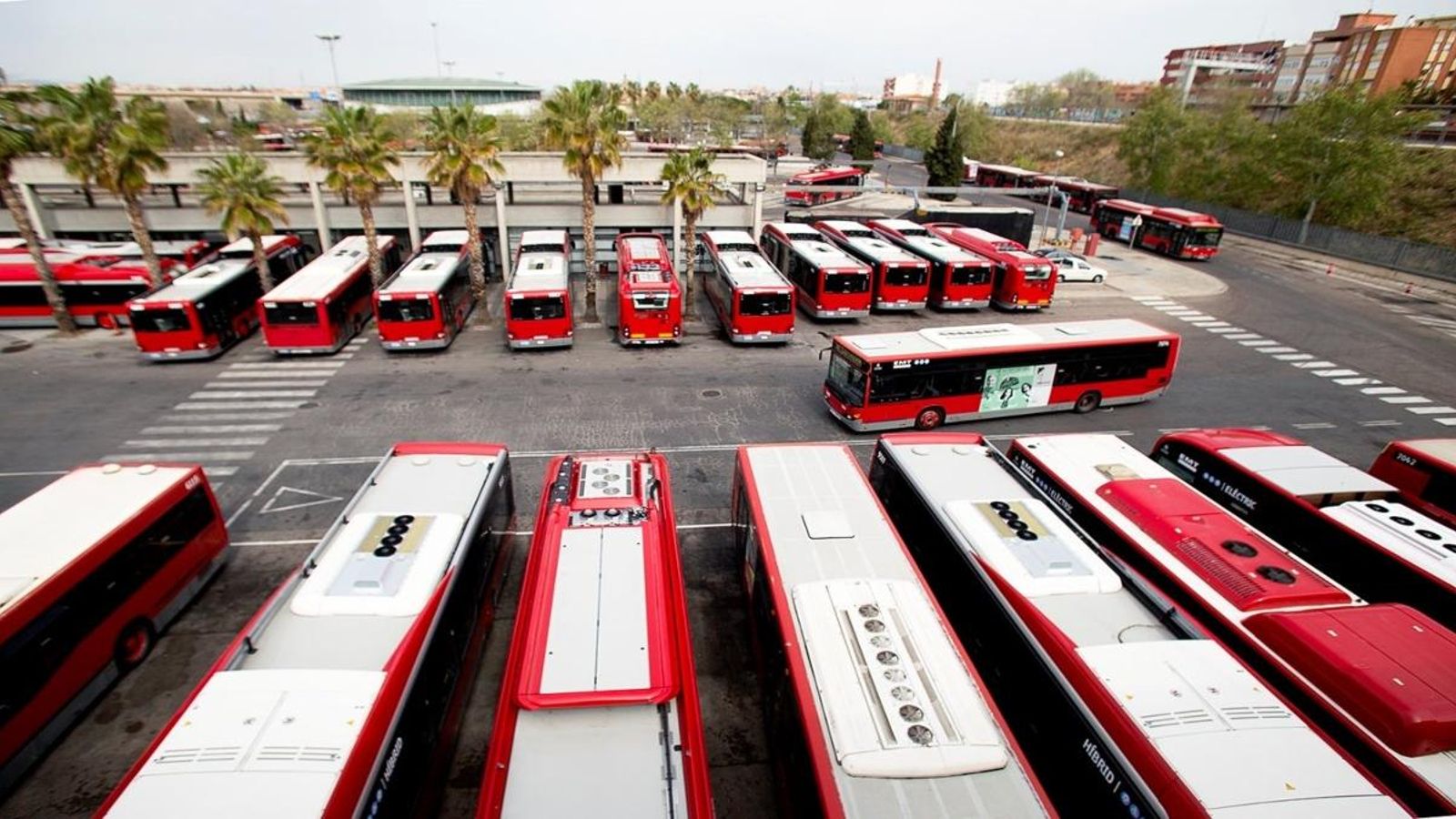 Flota de l'EMT a les cotxeres de València, en una imatge d'arxiu