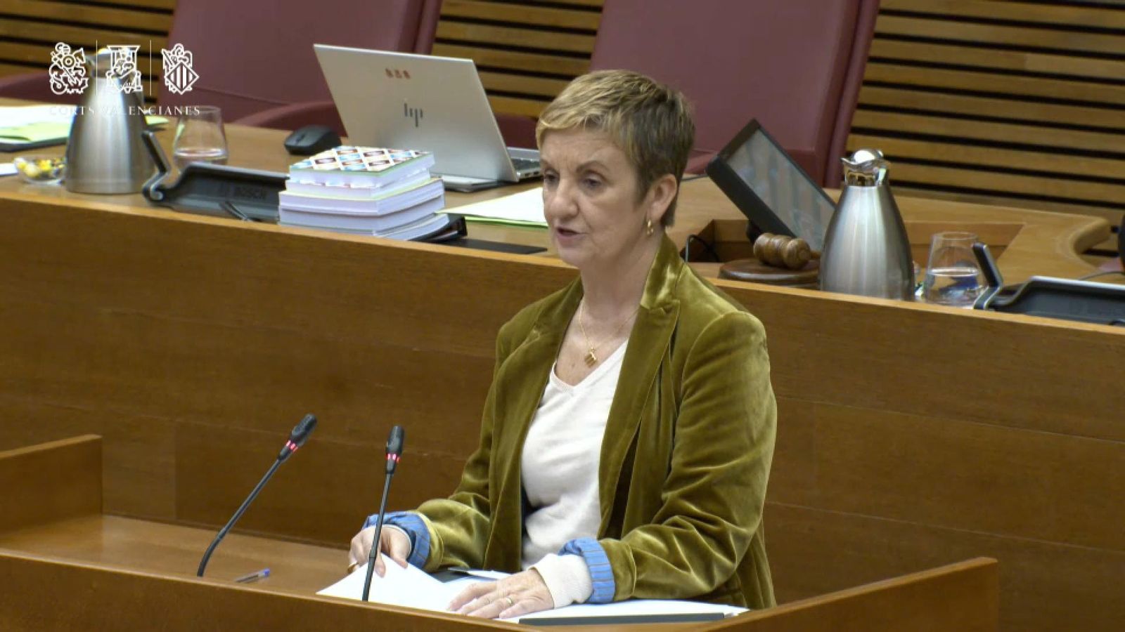 La consellera d'Innovació, Indústria, Comerç i Turisme, Marian Cano, Marian Cano