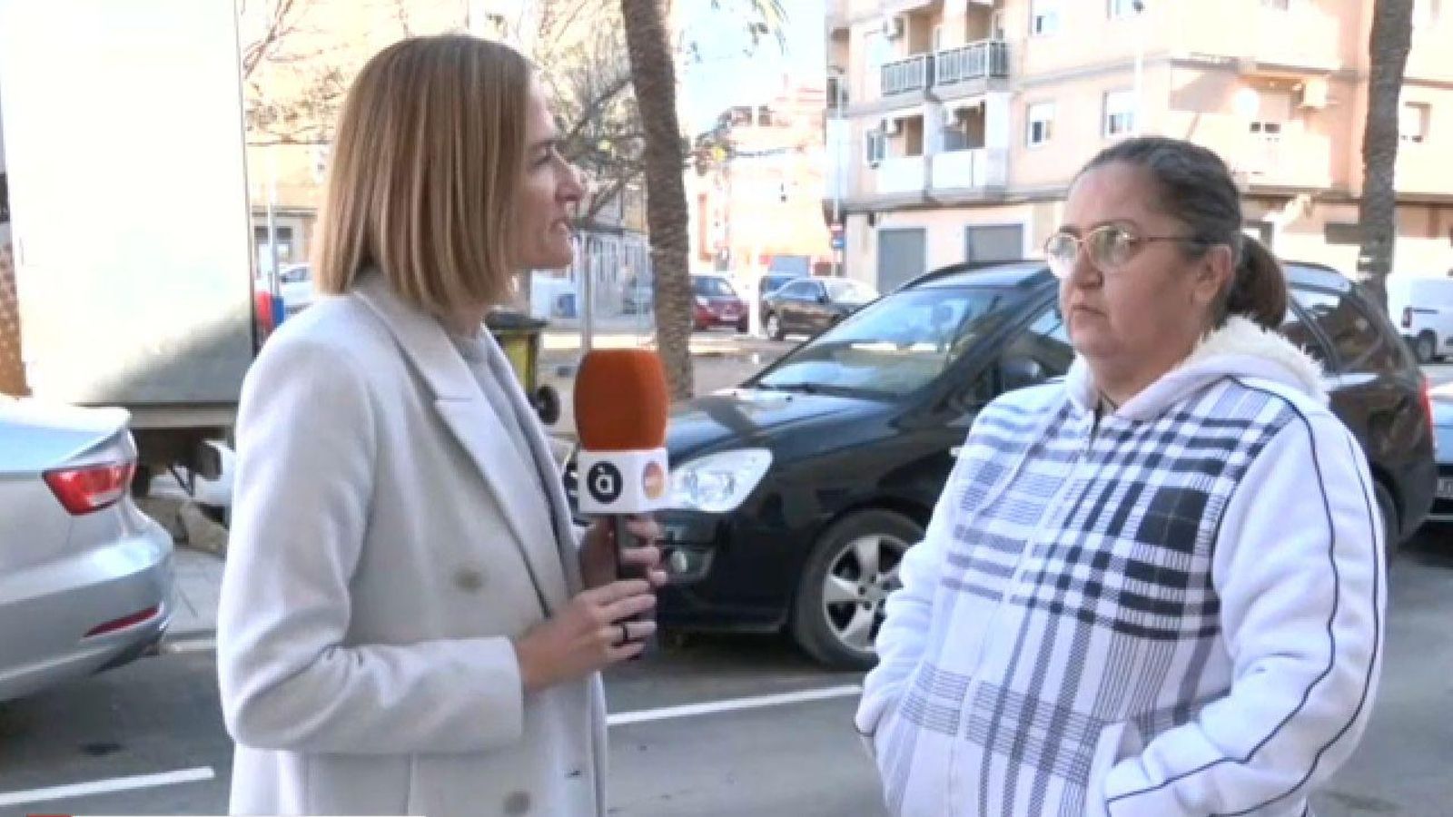 SALVA LA VEÏNA APUNYALADA