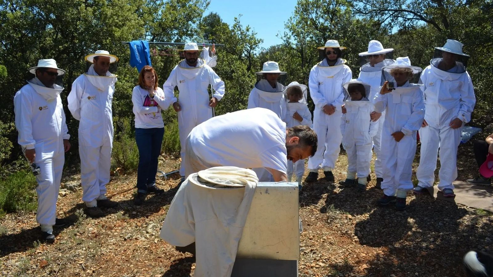 Turisme apícola a Villores (Ports)