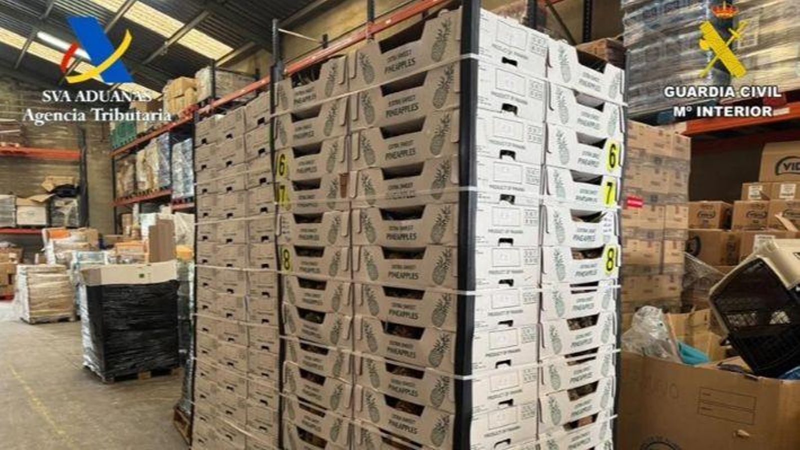 Carregament de pinyes del contenidor |