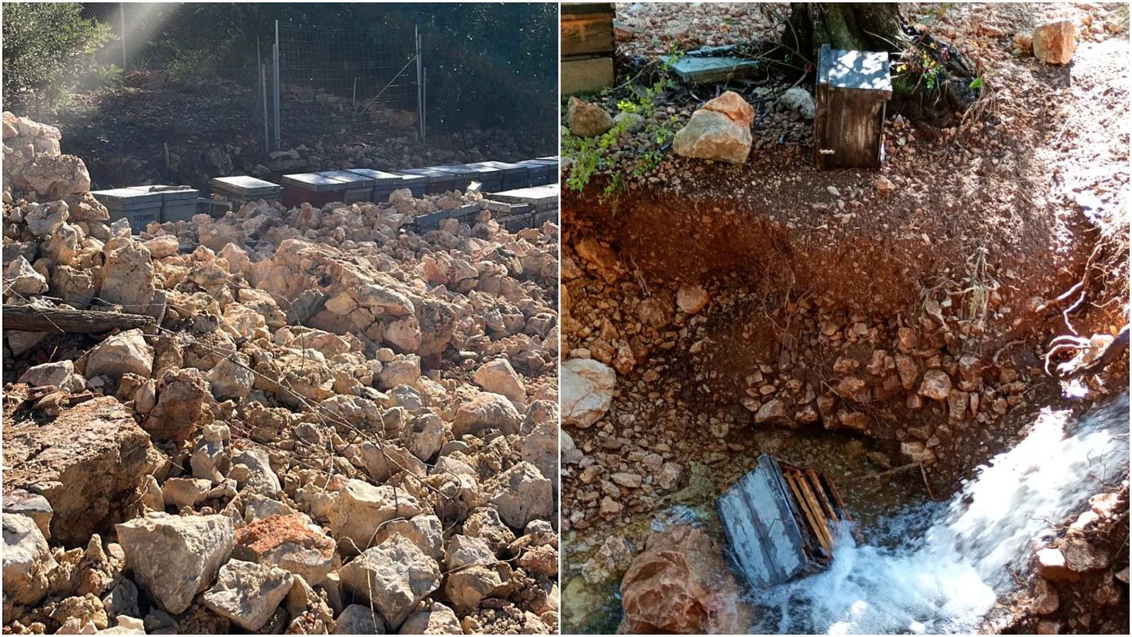 En imatge, explotacions apícoles afectades per la dana Adam