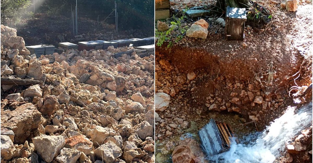 Pego, entre las zonas apícolas más afectadas por la dana Adam