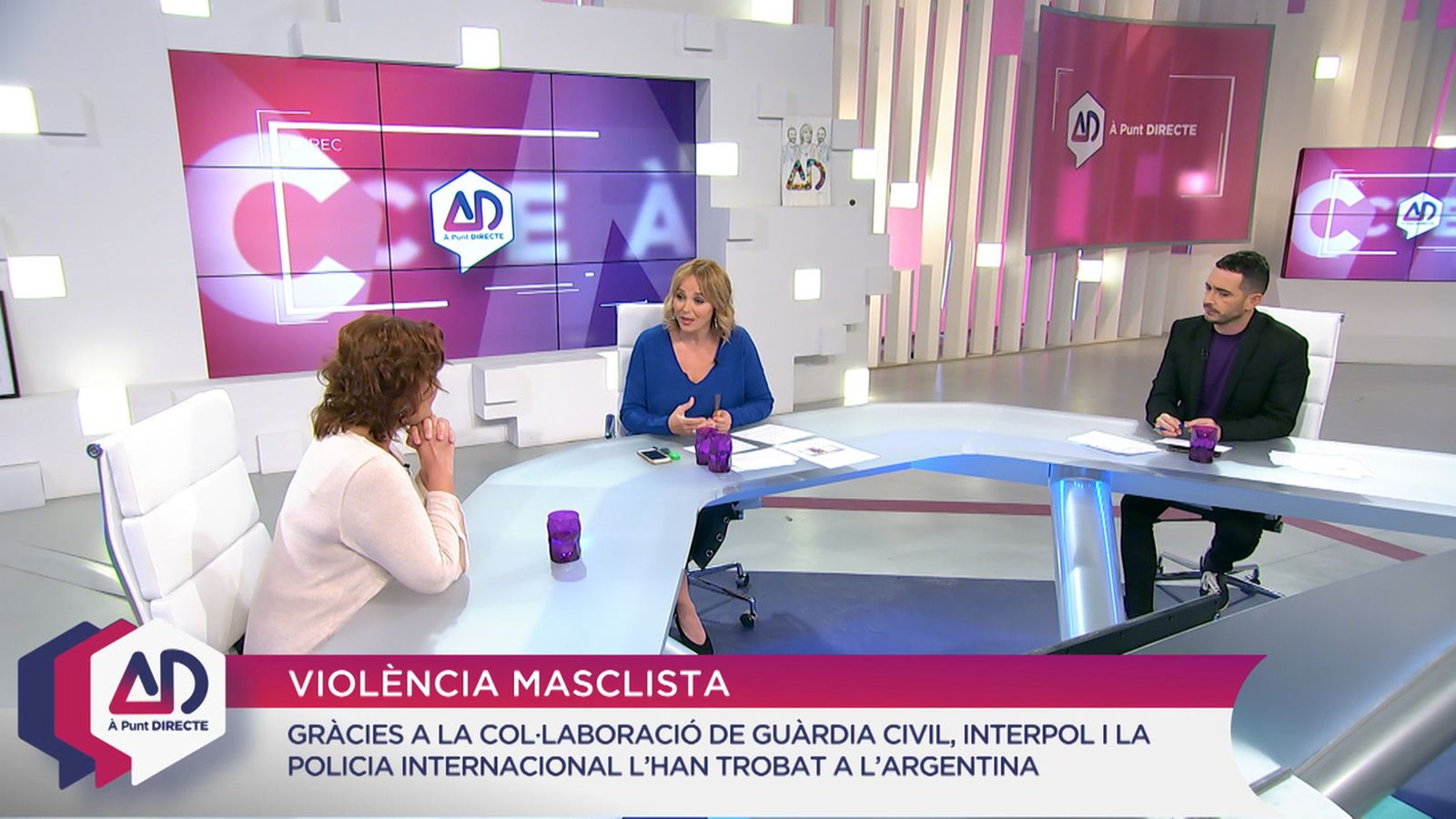 LLUITA CONTRA LA VIOLÈNCIA MASCLISTA