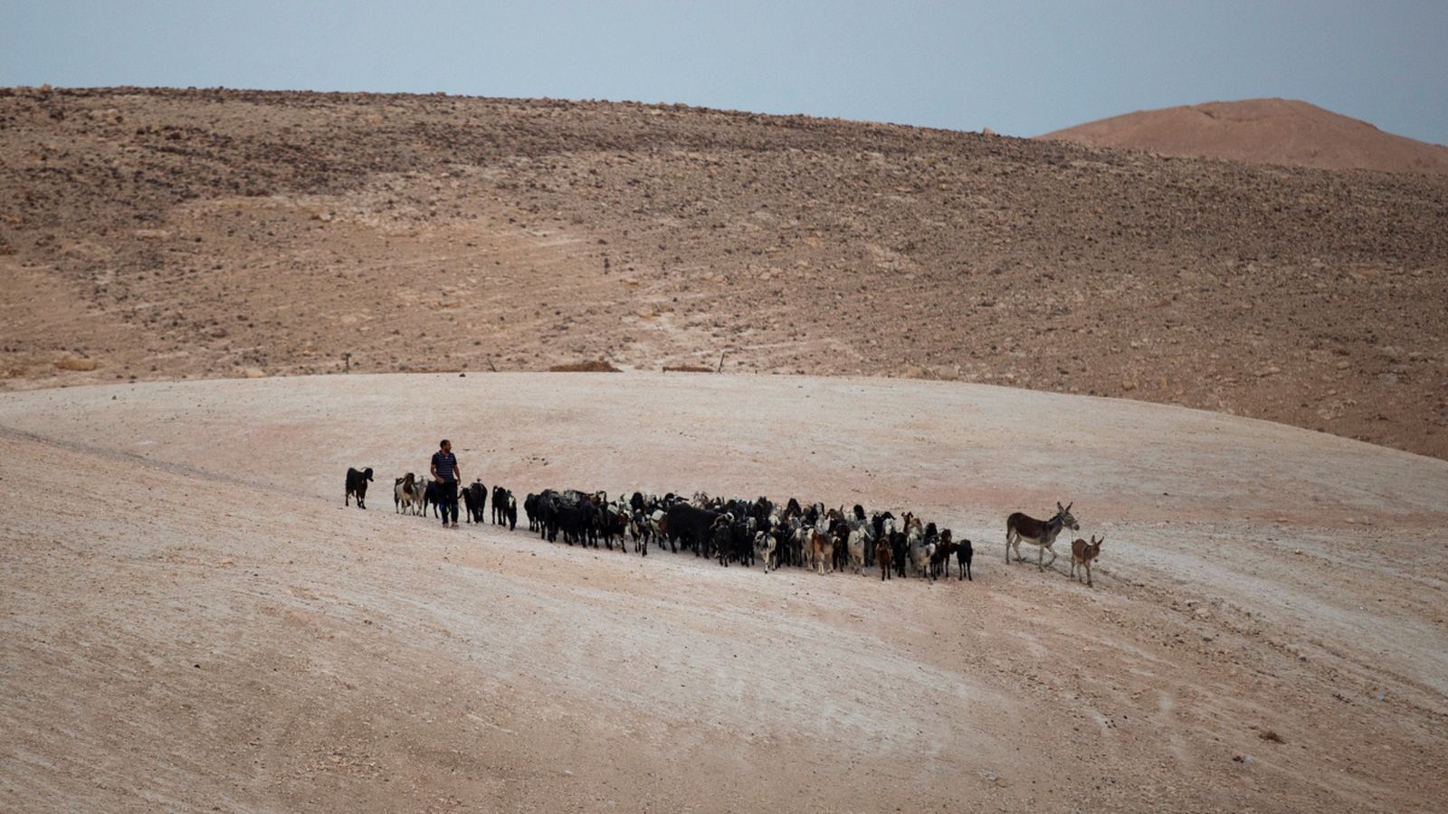 Un pastor del poble beduí de Jan al-Ahmar
