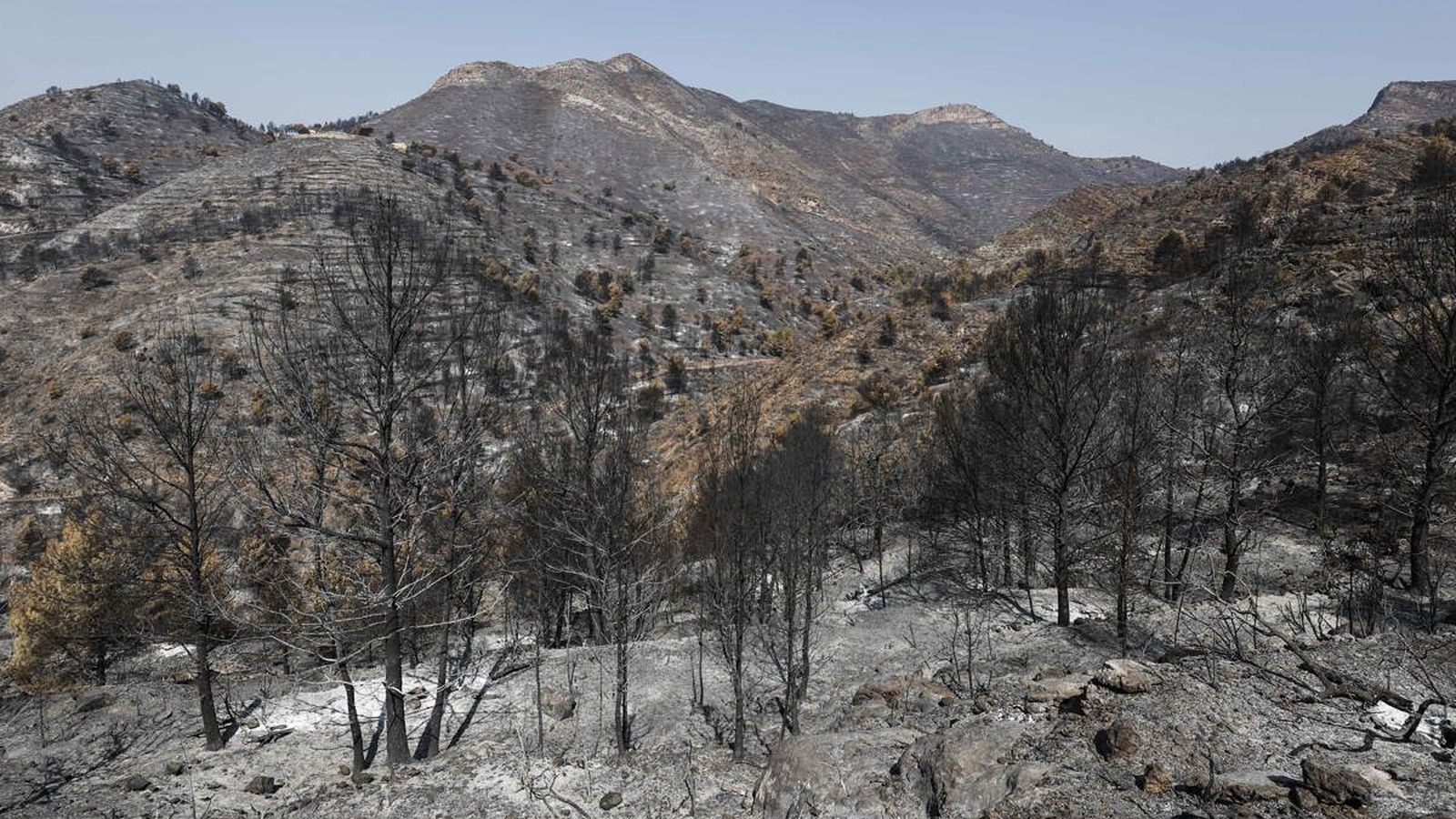 Paisatge cremat a la Vall d'Uixó