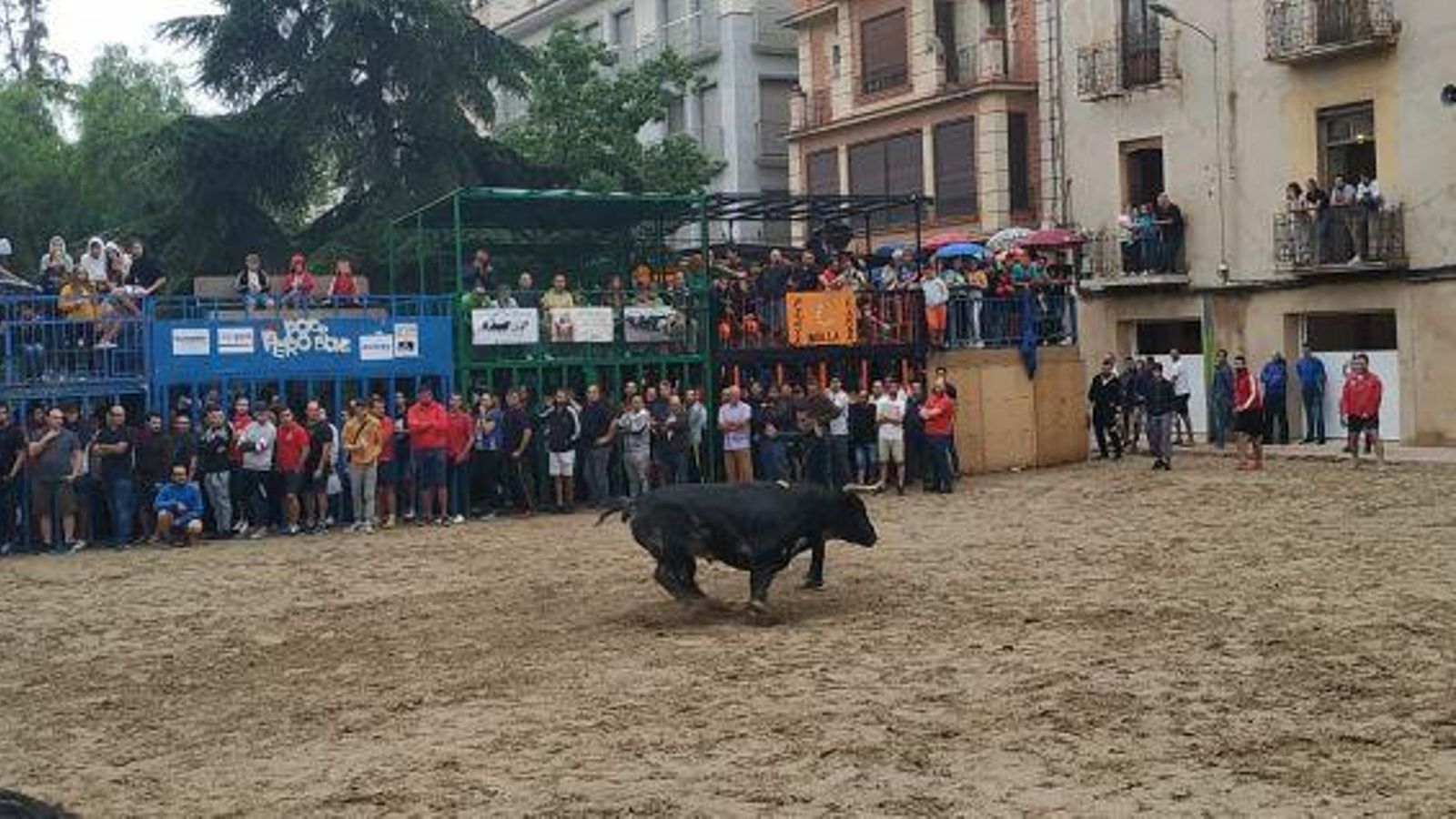 Acte taurí de la Misericòrdia de Borriana